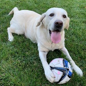 Meet your Posher, Catherine